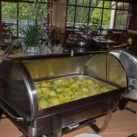 Hotel Panorama Schwarzeck 4*